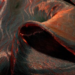 10880HC - Image 2
