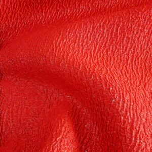 Fenice FW23-24 - Image 2