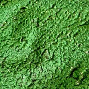 Arona - Image 2