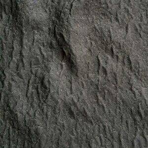 Olympia - Image 2